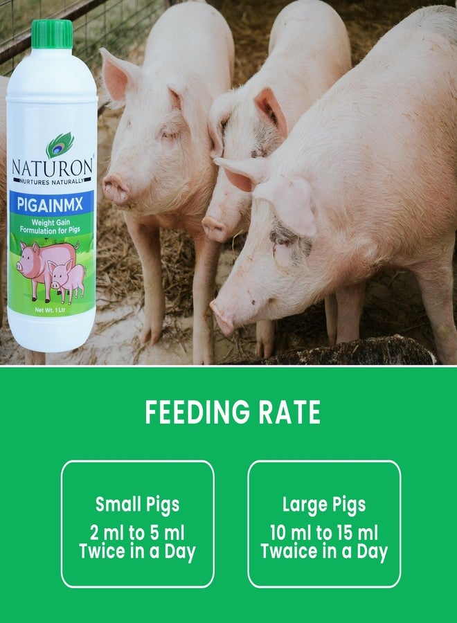 Agron Naturon Pigainmx Liquid Calcium & Weight Gain Supplement for Pigs & Piglets - 1 Litre - Image 5